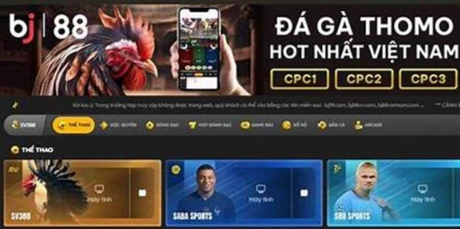 Đá gà BJ88 - Cập nhật mới nhất và thông tin hấp dẫn về đá gà
